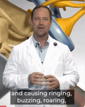 Descrição da GIF